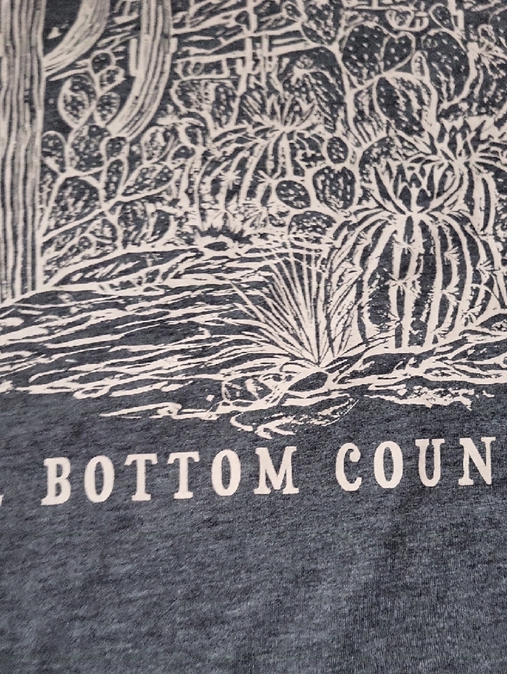 Lainey Wilson Women's Short Sleeve Tee - Charcoal with White Desert Graphic - Picture 12 of 12